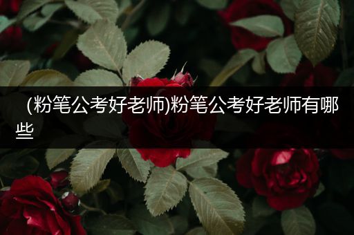 （粉笔公考好老师)粉笔公考好老师有哪些