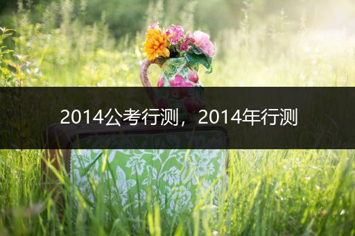 2014公考行测，2014年行测