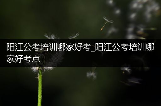 阳江公考培训哪家好考_阳江公考培训哪家好考点