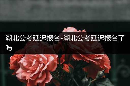 湖北公考延迟报名-湖北公考延迟报名了吗