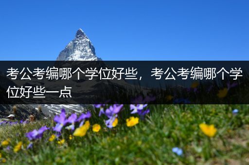 考公考编哪个学位好些，考公考编哪个学位好些一点