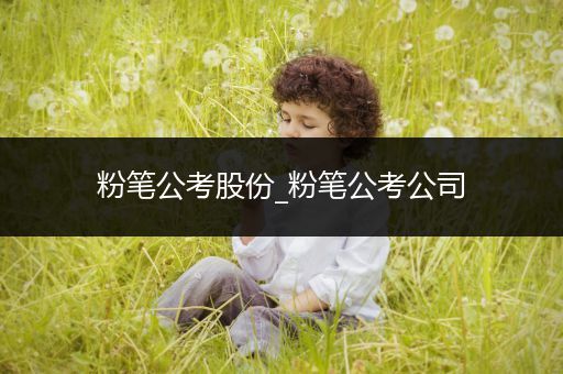 粉笔公考股份_粉笔公考公司