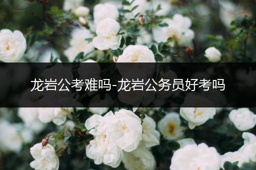 龙岩公考难吗-龙岩公务员好考吗