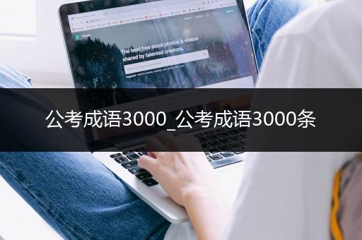 公考成语3000_公考成语3000条