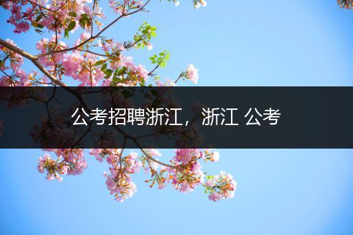 公考招聘浙江，浙江 公考