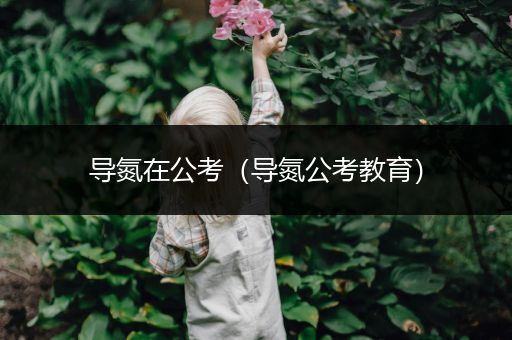 导氮在公考（导氮公考教育）