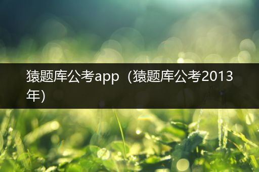 猿题库公考app（猿题库公考2013年）