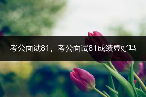 考公面试81，考公面试81成绩算好吗