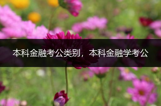 本科金融考公类别，本科金融学考公