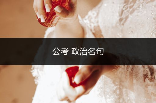 公考 政治名句