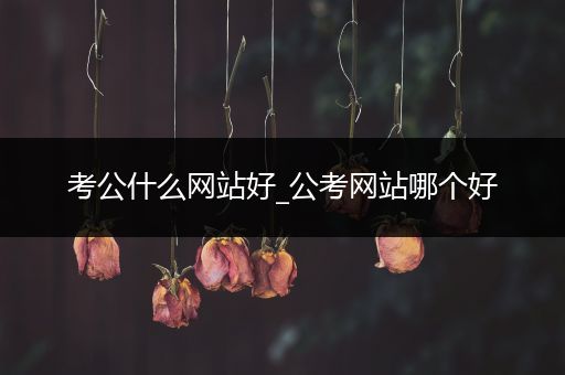考公什么网站好_公考网站哪个好