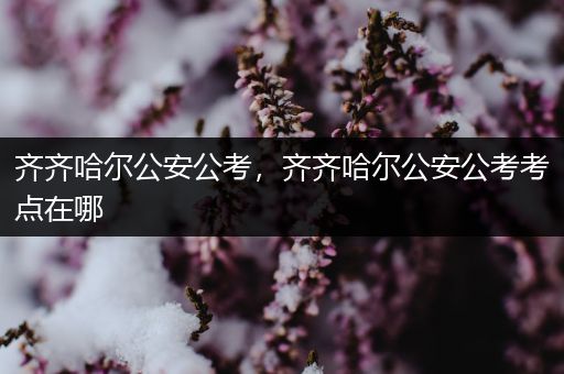 齐齐哈尔公安公考，齐齐哈尔公安公考考点在哪