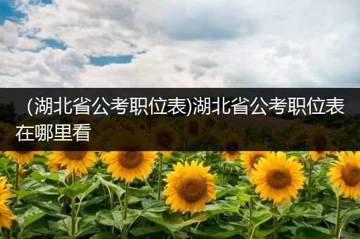 （湖北省公考职位表)湖北省公考职位表在哪里看