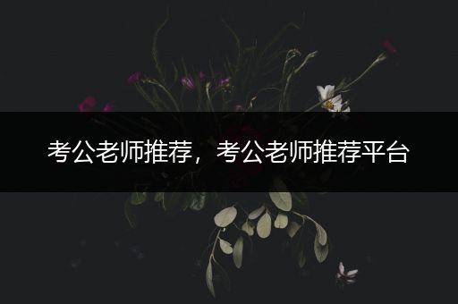 考公老师推荐，考公老师推荐平台