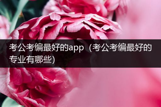 考公考编最好的app（考公考编最好的专业有哪些）