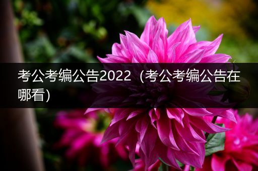 考公考编公告2022（考公考编公告在哪看）