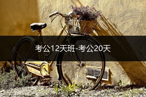 考公12天班-考公20天