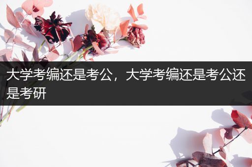 大学考编还是考公，大学考编还是考公还是考研