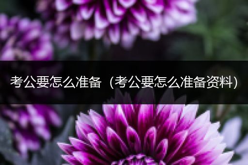 考公要怎么准备（考公要怎么准备资料）