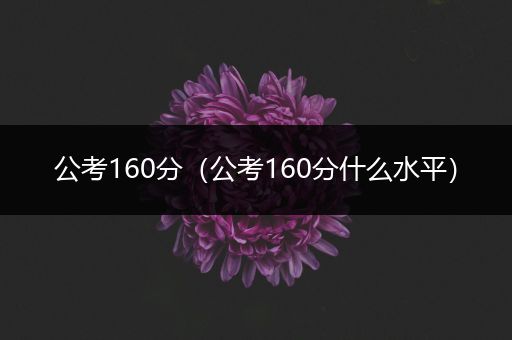 公考160分（公考160分什么水平）