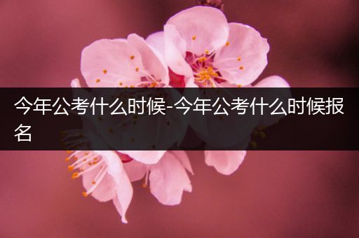 今年公考什么时候-今年公考什么时候报名