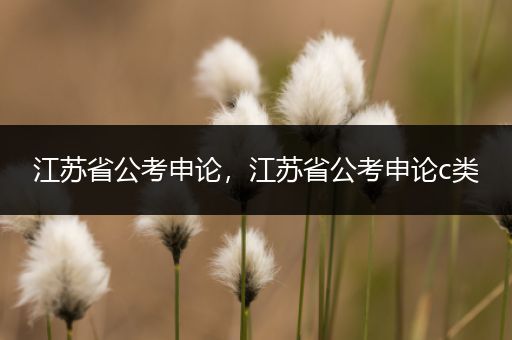 江苏省公考申论，江苏省公考申论c类