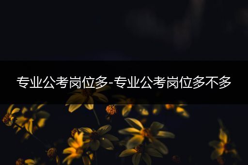 专业公考岗位多-专业公考岗位多不多