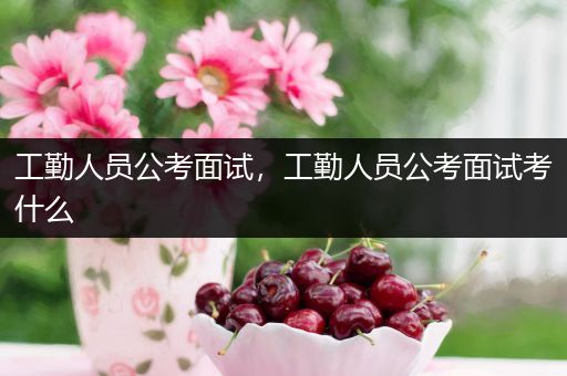 工勤人员公考面试，工勤人员公考面试考什么