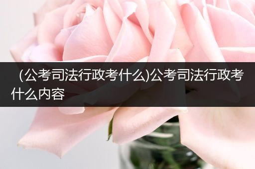 （公考司法行政考什么)公考司法行政考什么内容