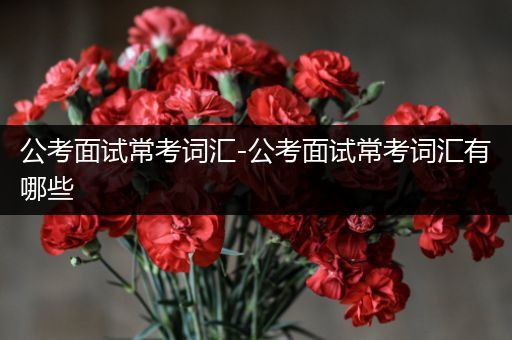 公考面试常考词汇-公考面试常考词汇有哪些