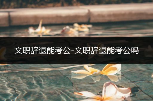 文职辞退能考公-文职辞退能考公吗