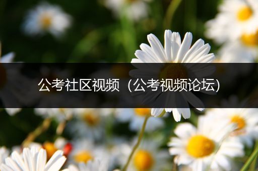 公考社区视频（公考视频论坛）