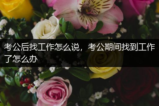 考公后找工作怎么说，考公期间找到工作了怎么办