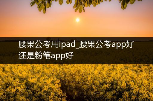 腰果公考用ipad_腰果公考app好还是粉笔app好