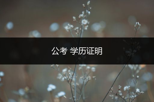 公考 学历证明