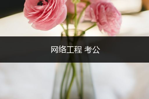 网络工程 考公