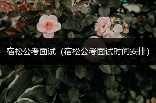 宿松公考面试（宿松公考面试时间安排）