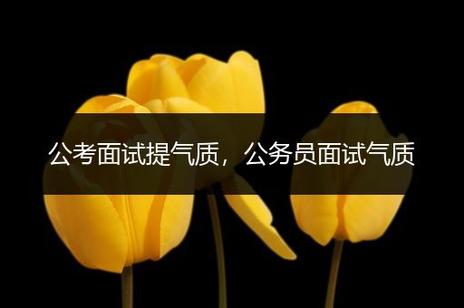 公考面试提气质，公务员面试气质
