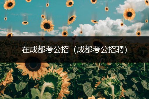 在成都考公招（成都考公招聘）