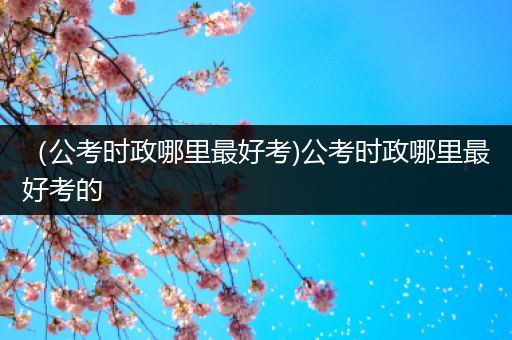 （公考时政哪里最好考)公考时政哪里最好考的