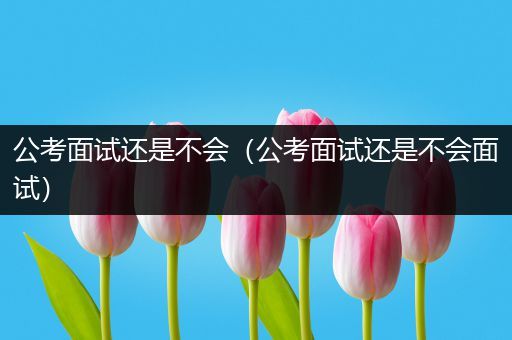 公考面试还是不会（公考面试还是不会面试）