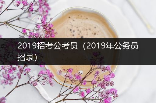 2019招考公考员（2019年公务员招录）