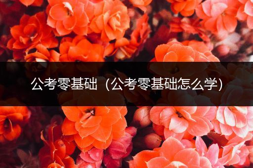 公考零基础（公考零基础怎么学）