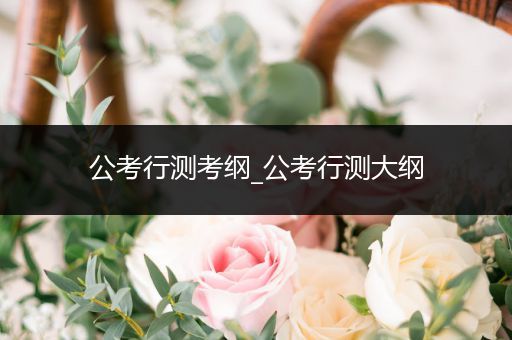 公考行测考纲_公考行测大纲