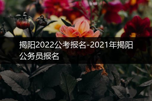 揭阳2022公考报名-2021年揭阳公务员报名