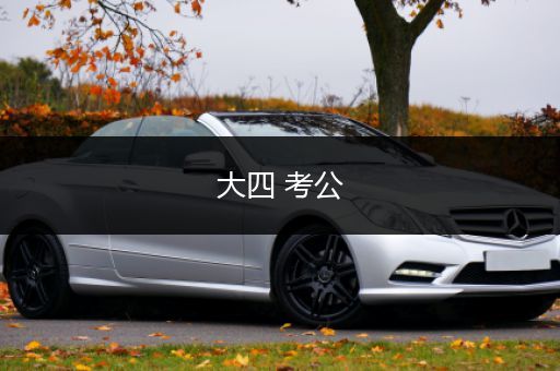 大四 考公