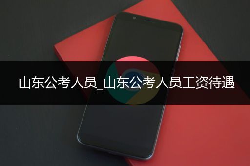 山东公考人员_山东公考人员工资待遇