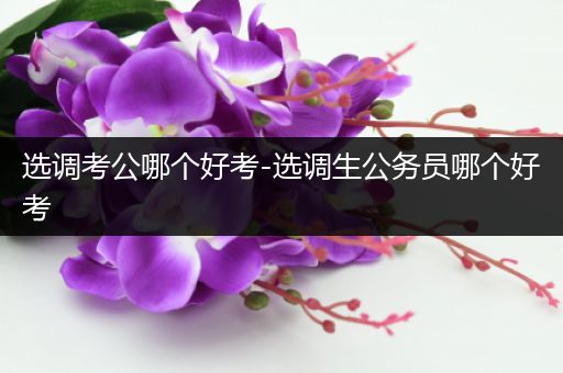 选调考公哪个好考-选调生公务员哪个好考