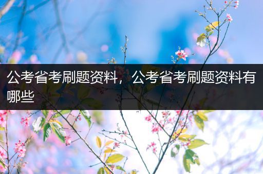 公考省考刷题资料，公考省考刷题资料有哪些