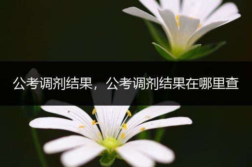 公考调剂结果，公考调剂结果在哪里查